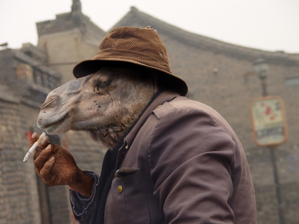 Creation of Smoking Camel: Step 9